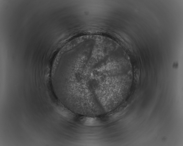 X0000089440507200707131908