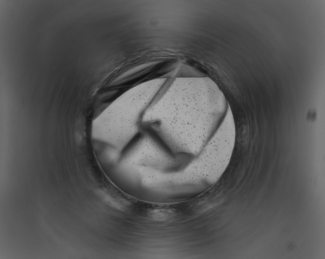 X0000089440508200707131908