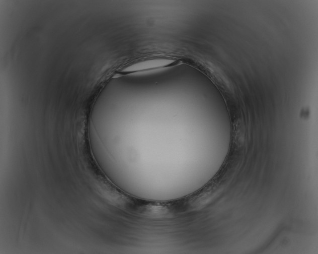 X0000089440509200707131908