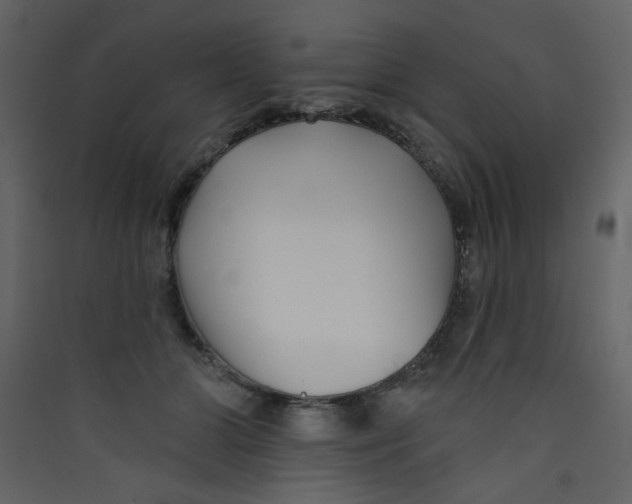X0000089440510200707131908