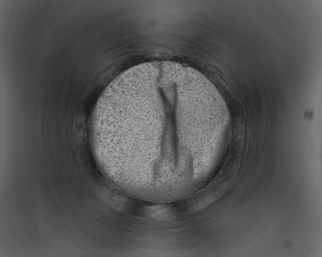 X0000089440511200707131908