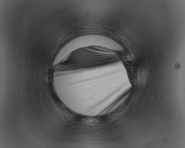 X0000089440512200707131908