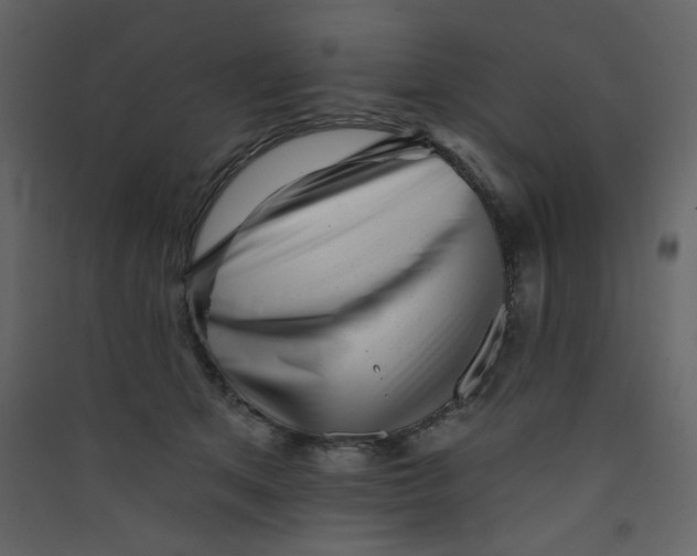 X0000089440513200707131908