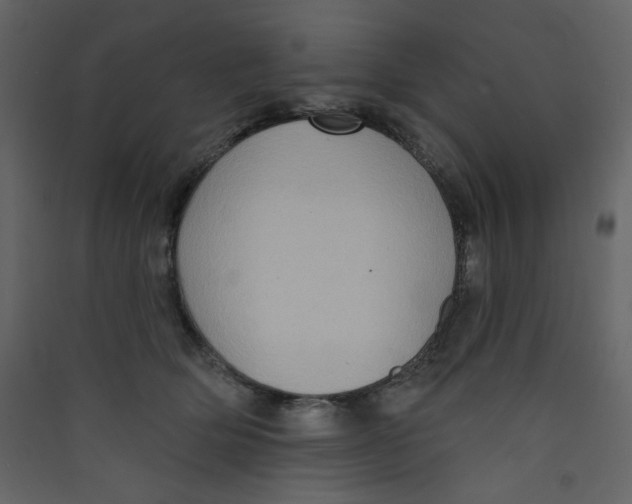 X0000089440514200707131908