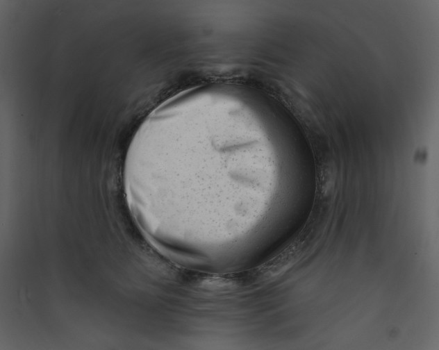 X0000089440515200707131908