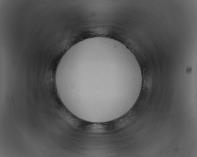 X0000089440518200707131908