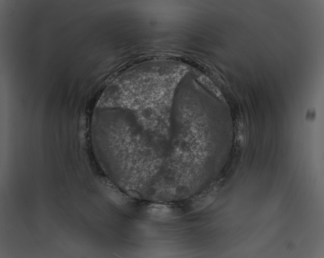 X0000089440519200707131908
