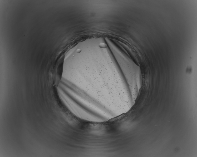 X0000089440520200707131908