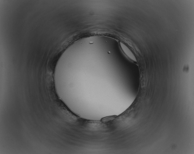 X0000089440521200707131908