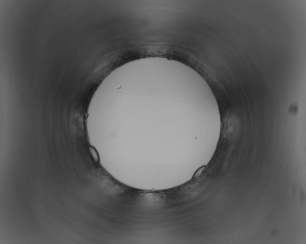 X0000089440522200707131908