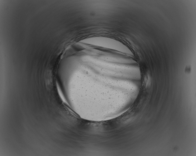 X0000089440524200707131908