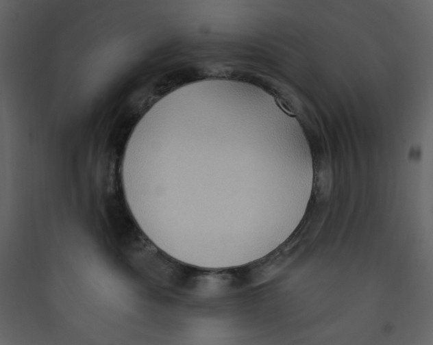 X0000089440525200707131908