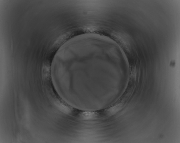 X0000089440526200707131908