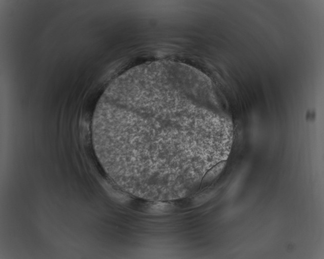 X0000089440527200707131908