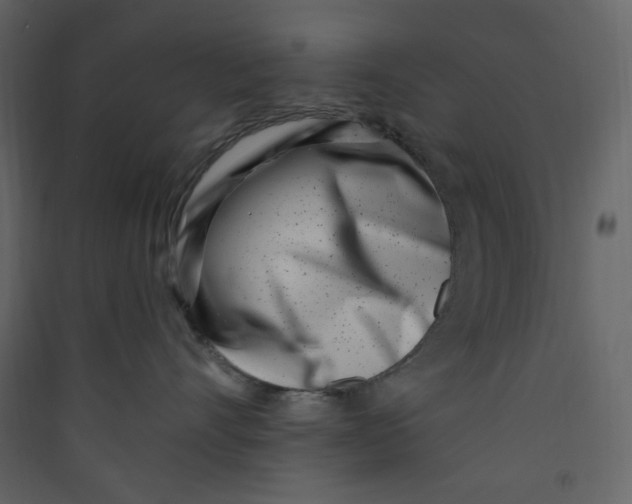 X0000089440528200707131908