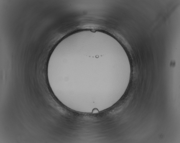 X0000089440529200707131907