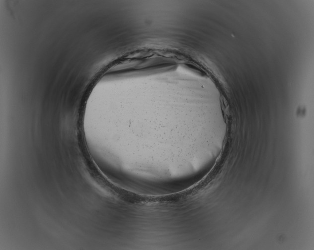 X0000089440530200707131907