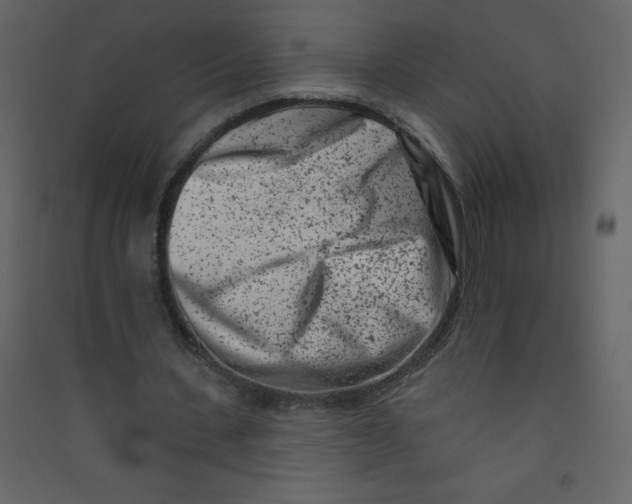 X0000089440531200707131907