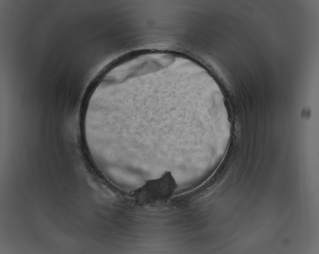 X0000089440532200707131907