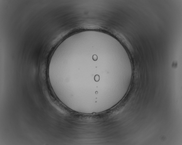 X0000089440533200707131907