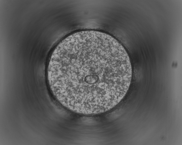 X0000089440534200707131908