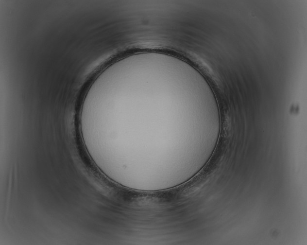 X0000089440535200707131908
