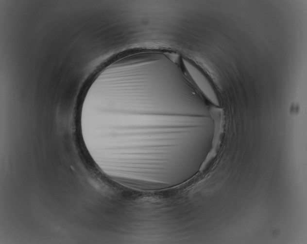 X0000089440536200707131908