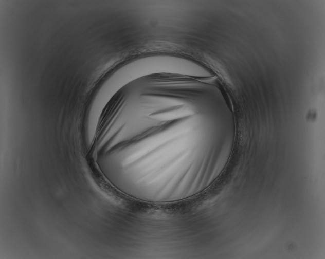 X0000089440538200707131908