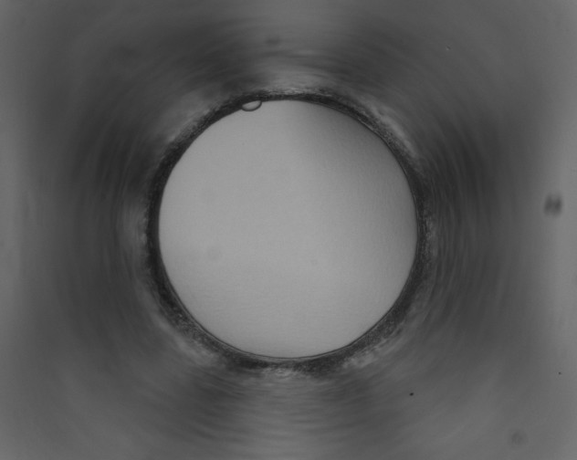 X0000089440539200707131908