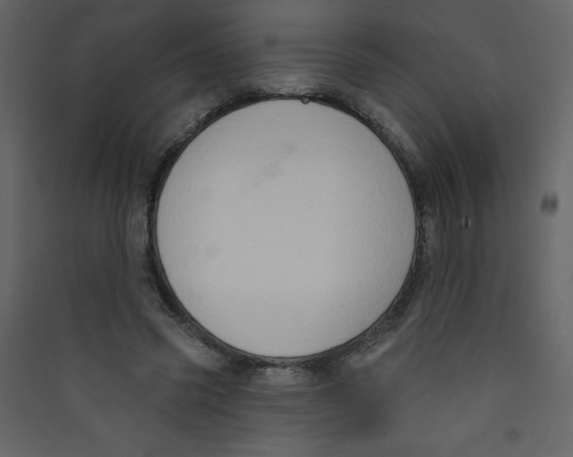 X0000089440541200707131908