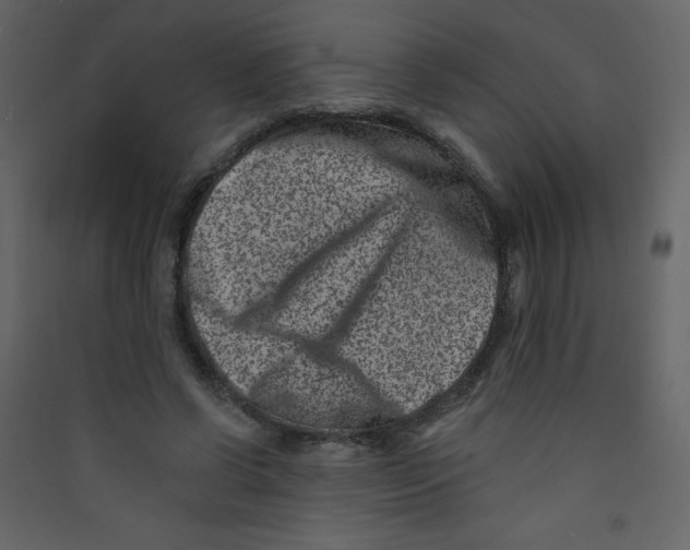 X0000089440542200707131908