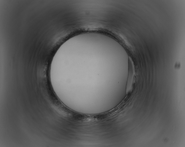 X0000089440543200707131908