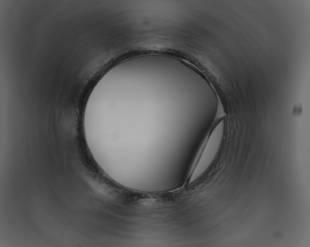 X0000089440544200707131908