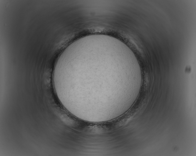 X0000089440545200707131908
