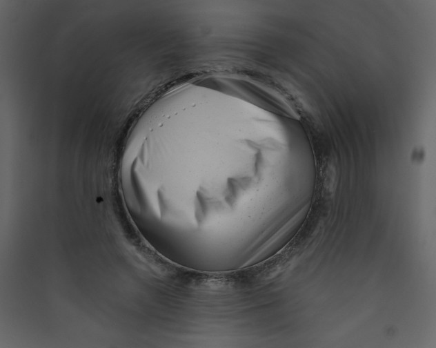 X0000089440546200707131908