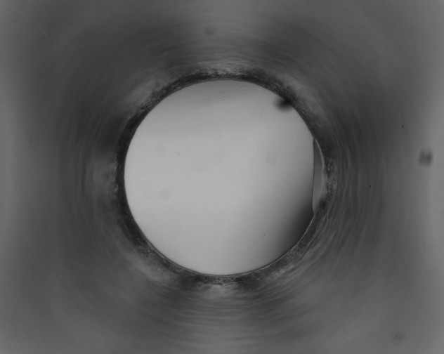 X0000089440548200707131908