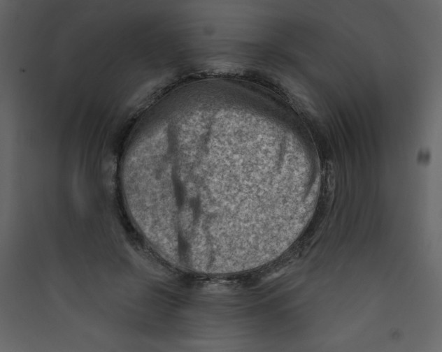 X0000089440550200707131908