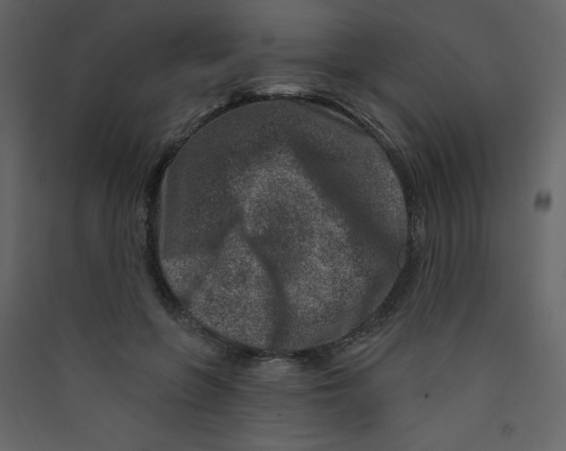 X0000089440551200707131908