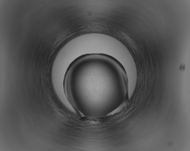 X0000089440552200707131908