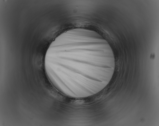 X0000089440554200707131908