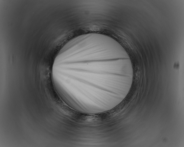 X0000089440555200707131908