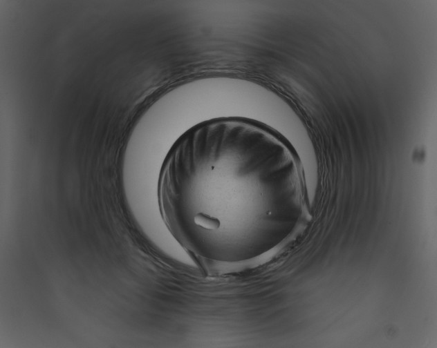 X0000089440556200707131908