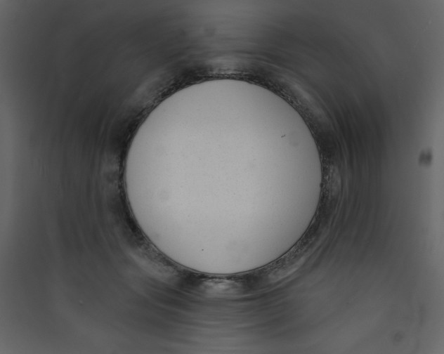 X0000089440557200707131908