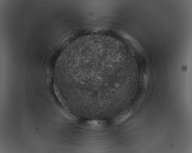 X0000089440558200707131908