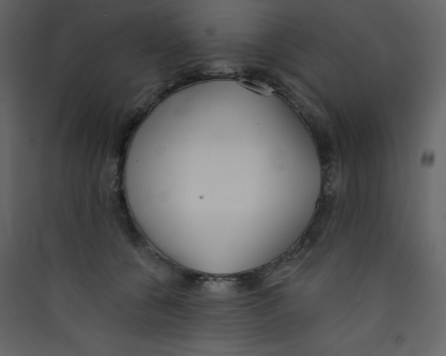 X0000089440560200707131908