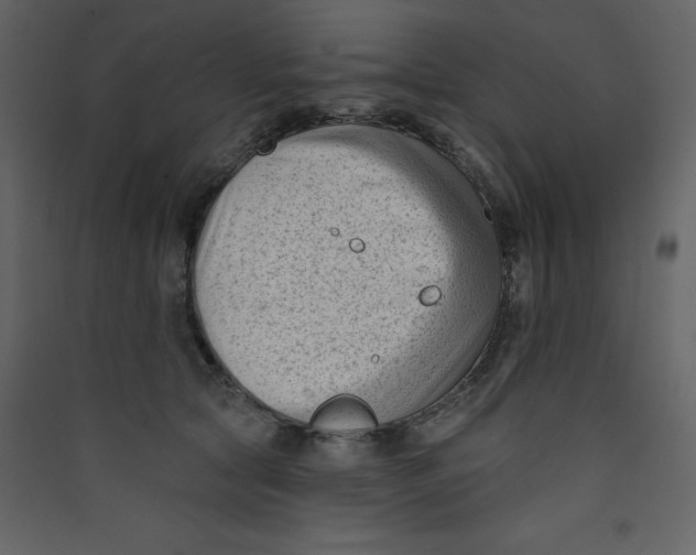 X0000089440561200707131908