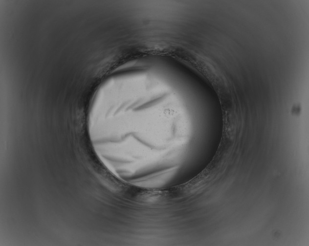 X0000089440563200707131908