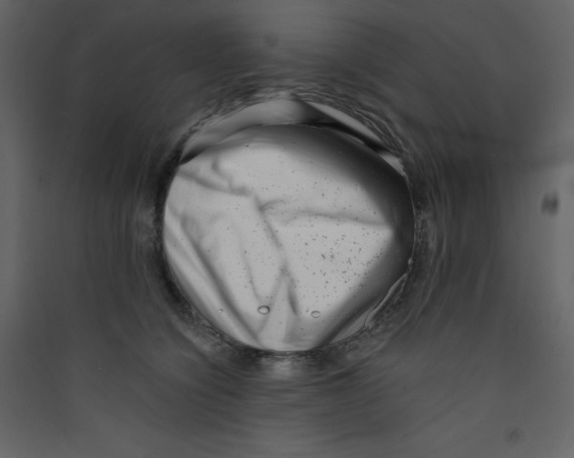 X0000089440564200707131908