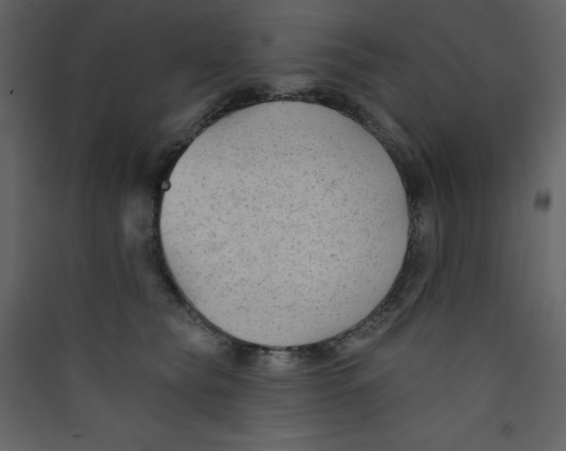 X0000089440565200707131908