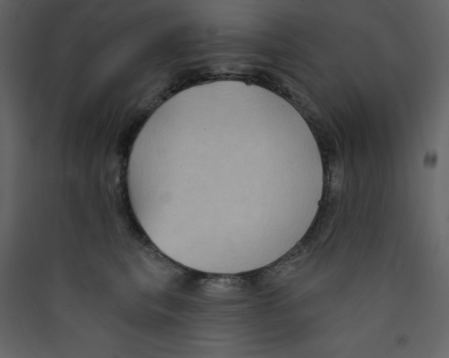 X0000089440567200707131908